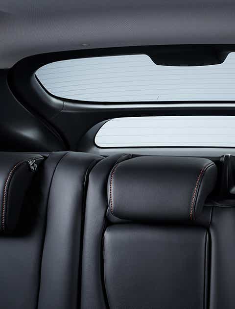 Double Tailgate Window